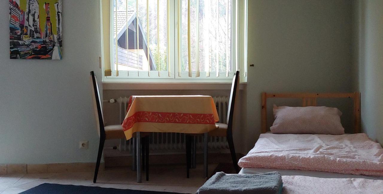 Kleines 07, Fuer Den Kurzen Aufenthalt Schönau im Schwarzwald